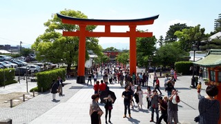 20180501_133808.jpg